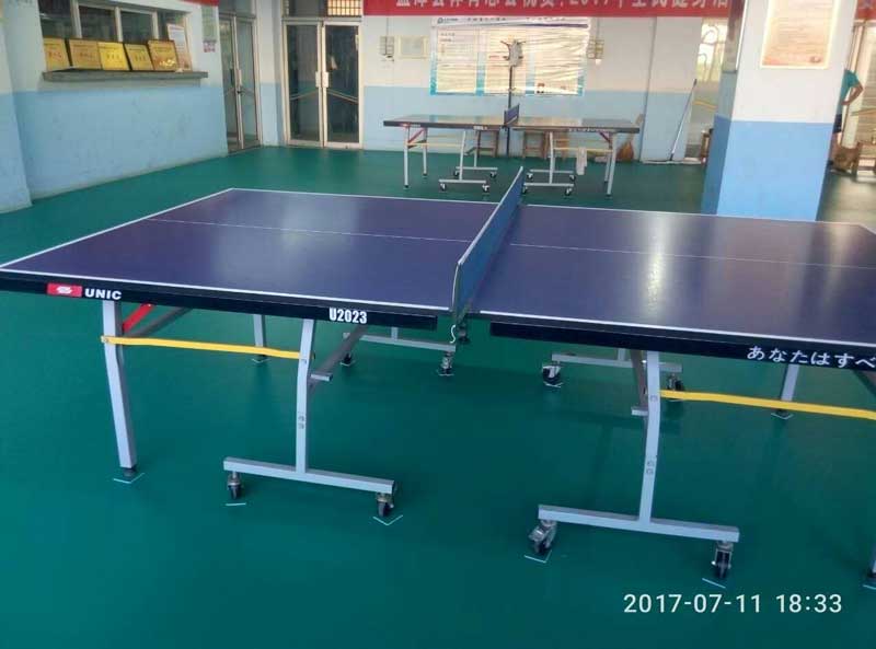 河南乒乓球運(yùn)動地膠 河南洛陽市孟津縣體育總局乒乓球運(yùn)動地膠